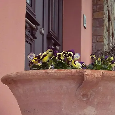 Fountoukli Guest house